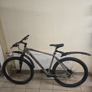 Jalgratas Bottecchia 109 + Rattapass