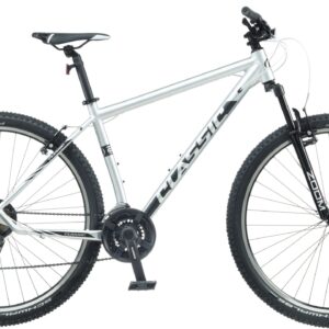 Jalgrattas Classic 29
