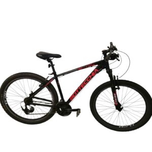 Jalgratas Bottecchia Sport Concept SC
